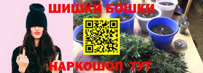 крисы Братск