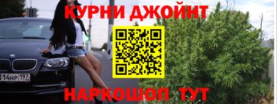 крисы Братск