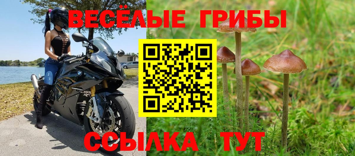 Псилоцибиновые грибы мухоморы Кубинка