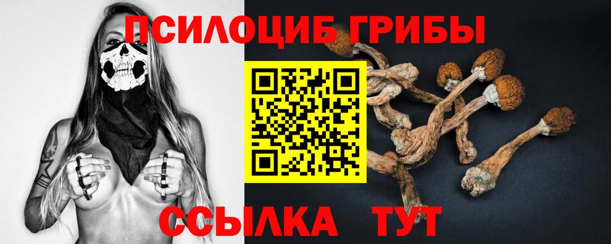 Кубинка  Галлюциногенные грибы мицелий  Галлюциногенные грибы Psilocybine cubensis  продажа наркотиков  Вход с VPN 